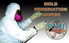 Certified Mold Remediation Course